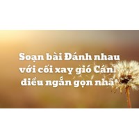 Soạn bài Đánh nhau với cối xay gió Cánh diều ngắn gọn nhất