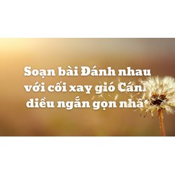 Soạn bài Đánh nhau với cối xay gió Cánh diều ngắn gọn nhất