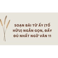 Soạn bài Từ ấy (Tố Hữu) ngắn gọn, đầy đủ nhất Ngữ văn 11