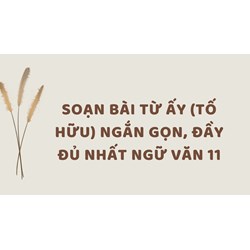 Soạn bài Từ ấy (Tố Hữu) ngắn gọn, đầy đủ nhất Ngữ văn 11