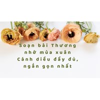 Soạn bài Thương nhớ mùa xuân Cánh diều đầy đủ, ngắn gọn nhất