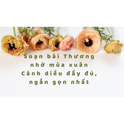 Soạn bài Thương nhớ mùa xuân Cánh diều đầy đủ, ngắn gọn nhất