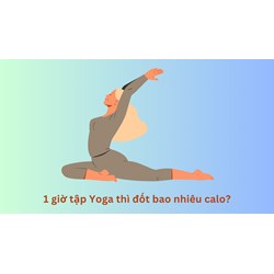 1 giờ tập Yoga thì đốt bao nhiêu calo?