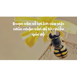 Đoạn văn về lợi ích của việc nhìn nhận vấn đề từ nhiều góc độ