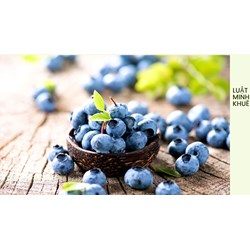 Mách bạn những lợi ích cho sức khoẻ của quả việt quất