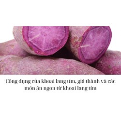 Công dụng của khoai lang tím, giá thành và các món ăn ngon từ khoai lang tím