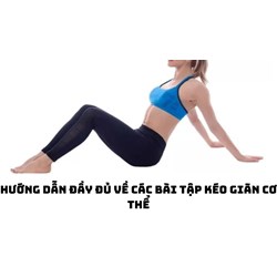 Hướng dẫn đầy đủ về các bài tập kéo giãn cơ thể