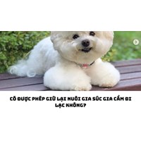 Có được phép giữ lại nuôi gia súc gia cầm đi lạc không?