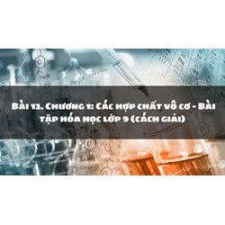Bài 13. Chương 1: Các hợp chất vô cơ - Bài tập hóa học lớp 9 (cách giải)