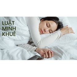 Nên đi ngủ lúc mấy giờ là tốt nhất cho sức khỏe?