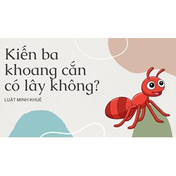 Kiến ba khoang cắn có lây không?