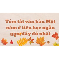 Tóm tắt văn bản Một năm ở tiểu học ngắn gọn, đầy đủ nhất