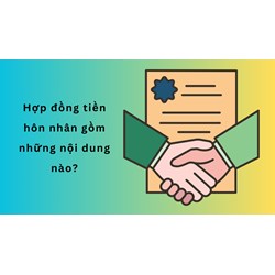 Hợp đồng tiền hôn nhân gồm những nội dung nào?
