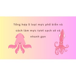 Tổng hợp 5 loại mực phổ biến và cách làm mực tươi sạch sẽ và nhanh gọn