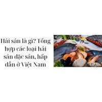 Hải sản là gì? Tổng hợp các loại hải sản đặc sản, hấp dẫn ở Việt Nam
