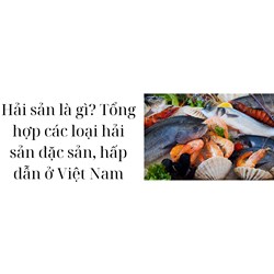 Hải sản là gì? Tổng hợp các loại hải sản đặc sản, hấp dẫn ở Việt Nam