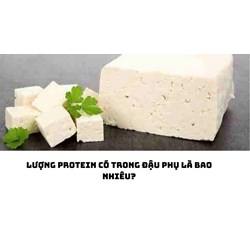 Lượng protein có trong đậu phụ là bao nhiêu?