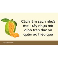 Cách làm sạch nhựa mít - tẩy nhựa mít dính trên dao và quần áo hiệu quả