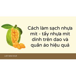 Cách làm sạch nhựa mít - tẩy nhựa mít dính trên dao và quần áo hiệu quả