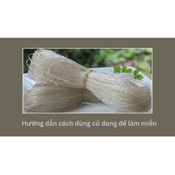 Hướng dẫn cách dùng củ dong để làm miến