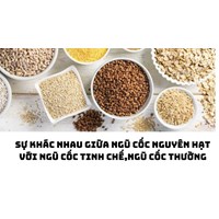Sự khác nhau giữa ngũ cốc nguyên hạt với ngũ cốc tinh chế,ngũ cốc thường
