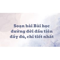 Soạn bài Bản tin về hoa anh đào - Kết nối tri thức đầy đủ nhất