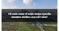 Tổ chức kinh tế được nhận chuyển nhượng những loại đất nào?