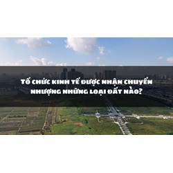 Tổ chức kinh tế được nhận chuyển nhượng những loại đất nào?