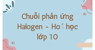 Chuỗi phản ứng Halogen - Hoá học lớp 10