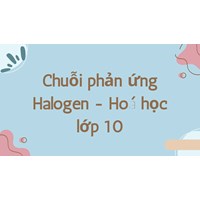 Chuỗi phản ứng Halogen - Hoá học lớp 10