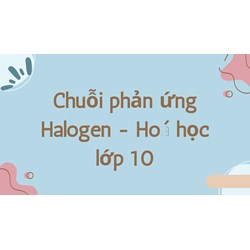 Chuỗi phản ứng Halogen - Hoá học lớp 10