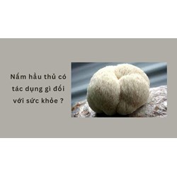 Nấm hầu thủ có tác dụng gì đối với sức khỏe ?