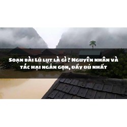Soạn bài Lũ lụt là gì ? Nguyên nhân và tác hại ngắn gọn, đầy đủ nhất