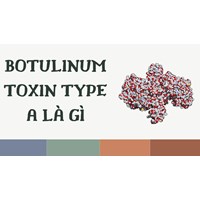 Botulinum toxin type A là gì