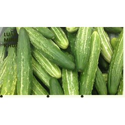 Dưa chuột có bao nhiêu calo? Ăn dưa chuột có giảm cân không và cách chọn mua