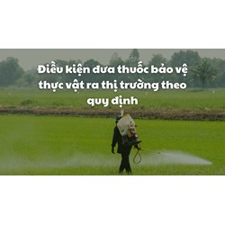 Điều kiện đưa thuốc bảo vệ thực vật ra thị trường theo quy định
