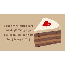 Lòng trắng trứng làm bánh gì? Tổng hợp các cách làm bánh từ lòng trắng trứng