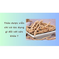 Thảo dược viễn chí có tác dụng gì đối với sức khỏe ?