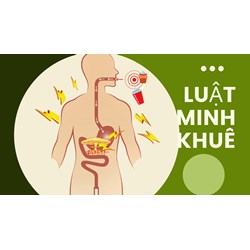 Trao đổi chất và giảm cân: hướng dẫn cách bạn đốt cháy calo