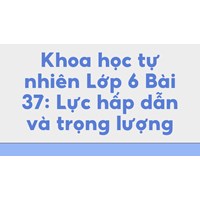 Khoa học tự nhiên Lớp 6 Bài 37: Lực hấp dẫn và trọng lượng