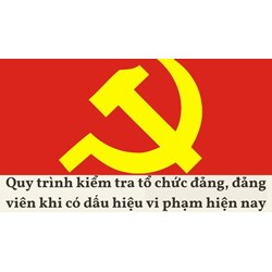 Quy trình kiểm tra tổ chức đảng, đảng viên khi có dấu hiệu vi phạm hiện nay