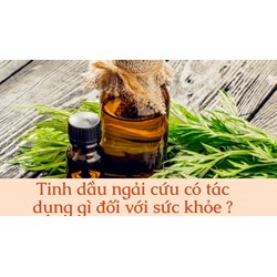Tinh dầu ngải cứu có tác dụng gì đối với sức khỏe ?