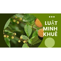 Tác dụng của cây mỏ quạ theo như kinh nghiệm dân