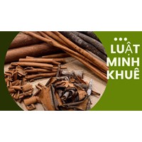 Mách bạn các tác dụng của cây hậu phác mà không phải ai cũng biết
