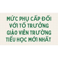 Mức phụ cấp đối với tổ trưởng giáo viên trường Tiểu Học mới nhất