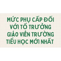 Mức phụ cấp đối với tổ trưởng giáo viên trường Tiểu Học mới nhất