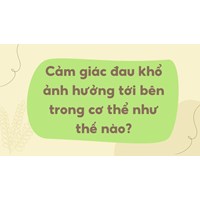 Cảm giác đau khổ ảnh hưởng tới bên trong cơ thể như thế nào?