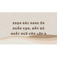 Soạn bài Hang Én ngắn gọn, đầy đủ nhất Ngữ văn lớp 6