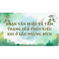 Đoạn văn miêu tả tâm trạng của Thúy Kiều khi ở lầu Ngưng Bích