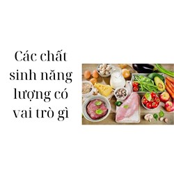 Các chất sinh năng lượng có vai trò gì